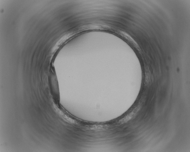 X0000068320938200605192029