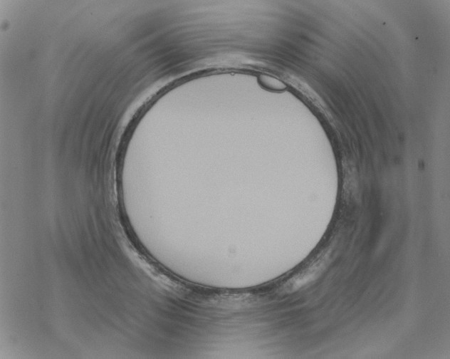 X0000068320939200605192029