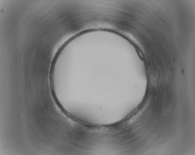 X0000068320943200605192029