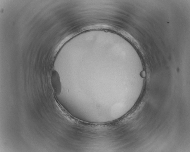 X0000068320945200605192030