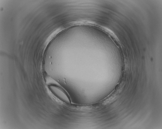 X0000068320946200605192030