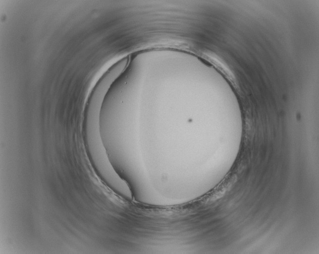 X0000068320948200605192030