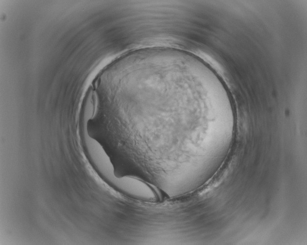 X0000068320949200605192030