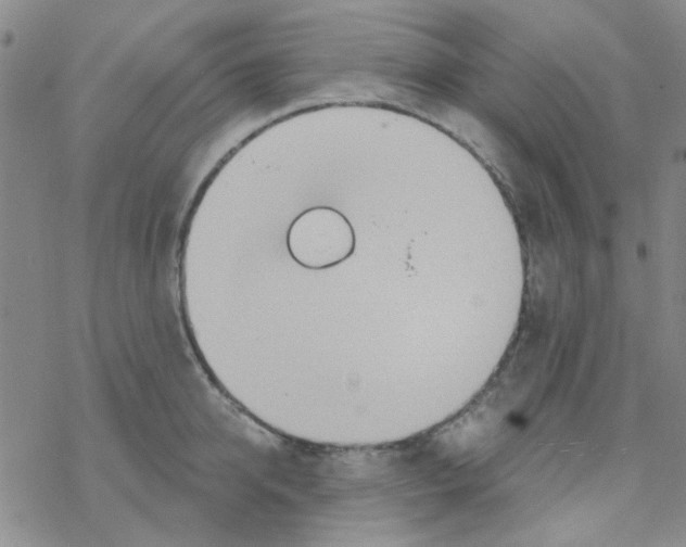 X0000068320950200605192030