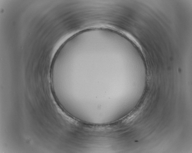 X0000068320951200605192030