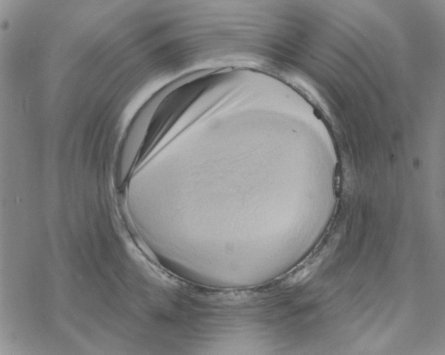 X0000068320952200605192030