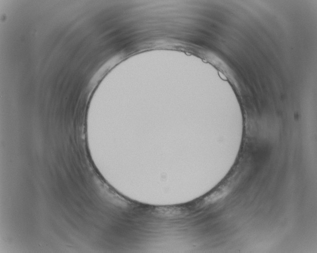 X0000068320954200605192030