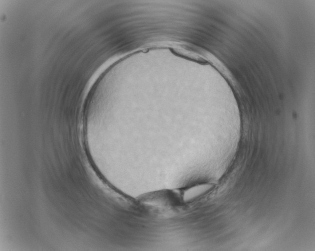 X0000068320955200605192030