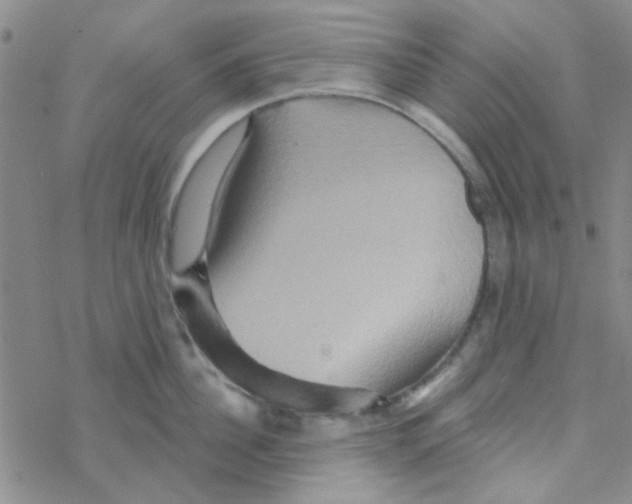 X0000068320956200605192030