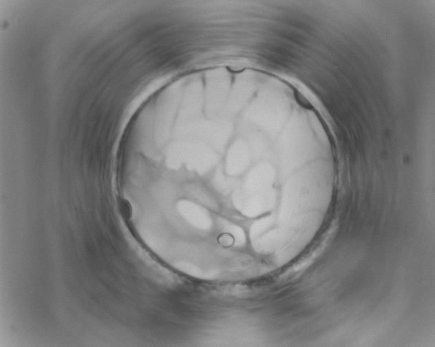 X0000068320957200605192030