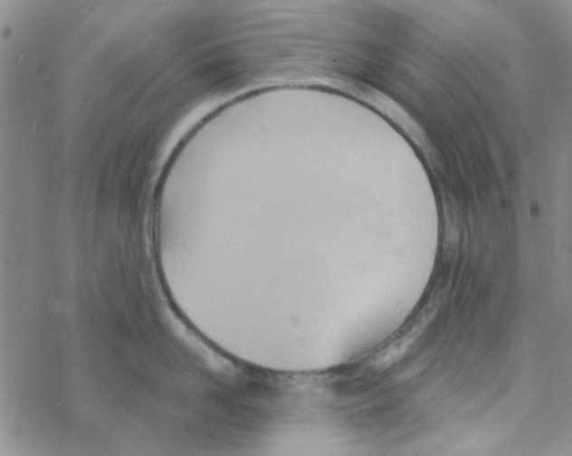 X0000068320958200605192030