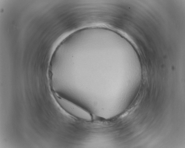 X0000068320959200605192030