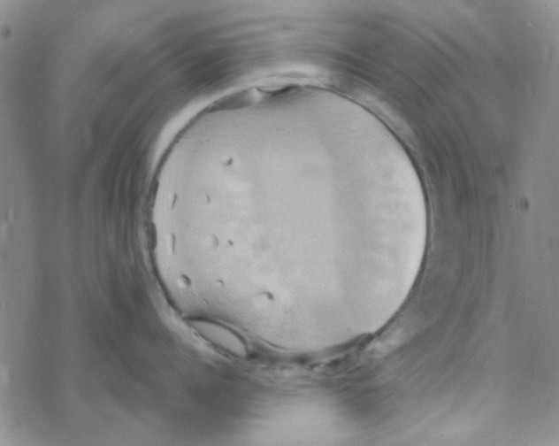 X0000068320960200605192030