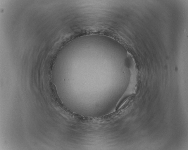 X0000068320961200605192029