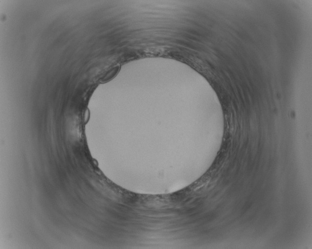 X0000068320962200605192029