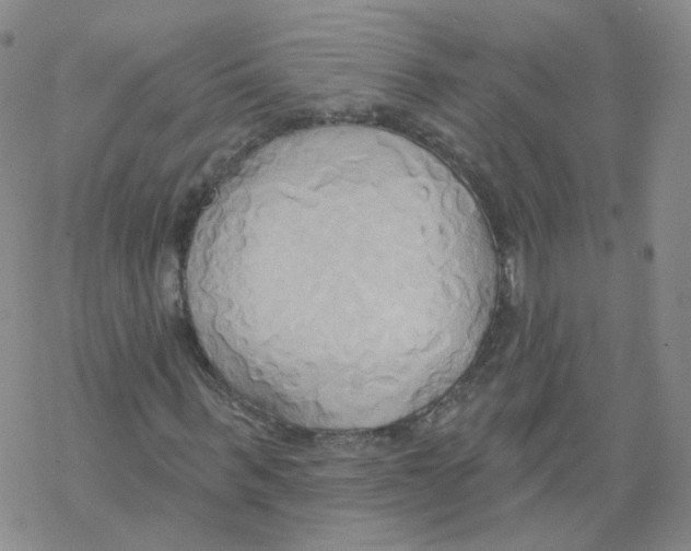 X0000068320963200605192029