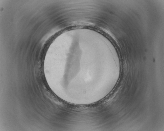X0000068320971200605192029