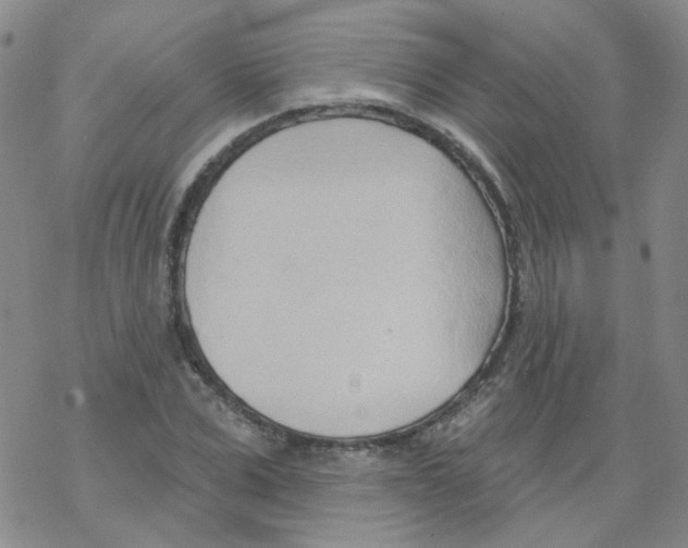 X0000068320975200605192029