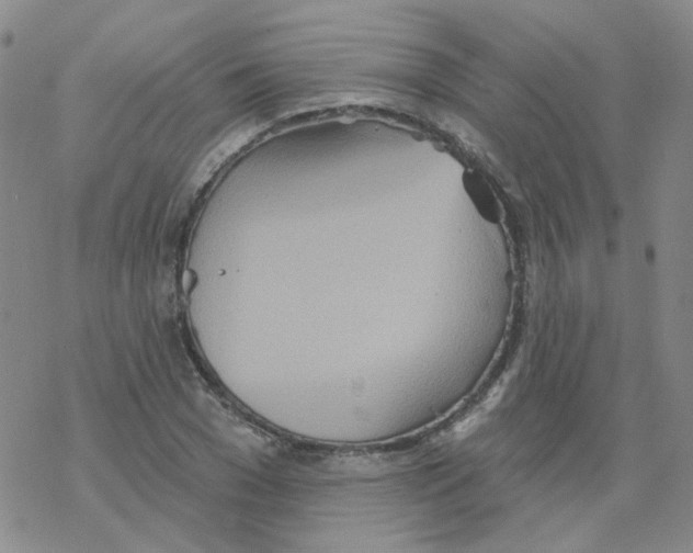 X0000068320977200605192029