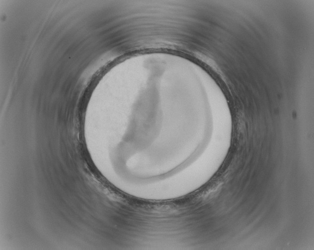 X0000068320979200605192029