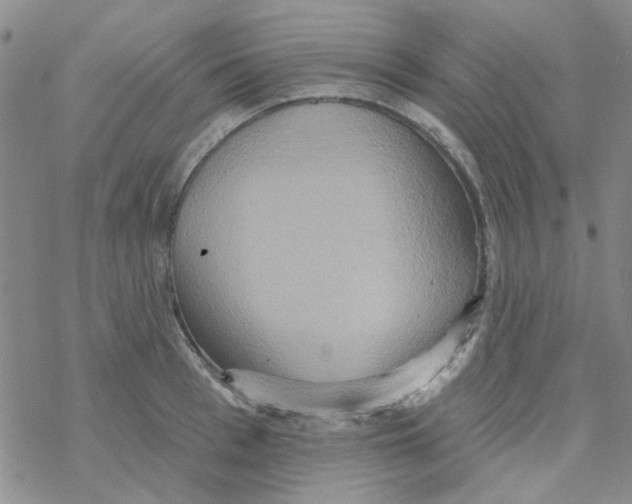 X0000068320993200605192028