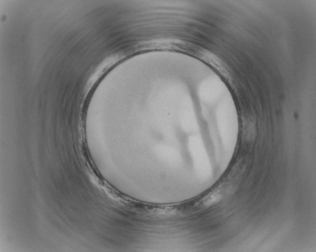 X0000068320994200605192028