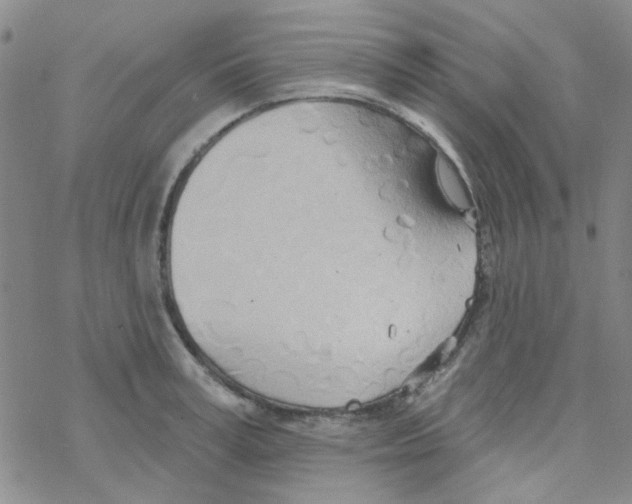 X0000068320995200605192028