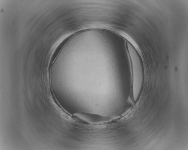 X0000068320996200605192028