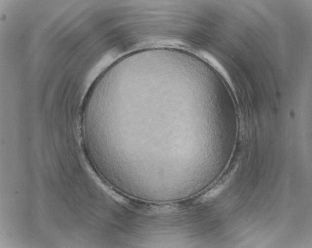 X0000068320997200605192028