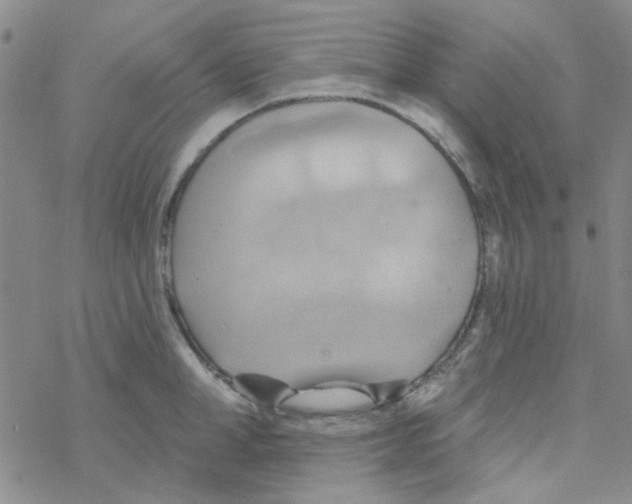 X0000068320998200605192028