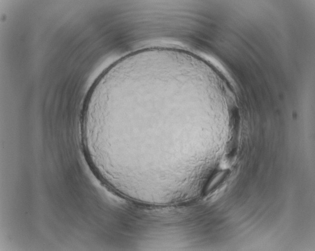 X0000068320999200605192028