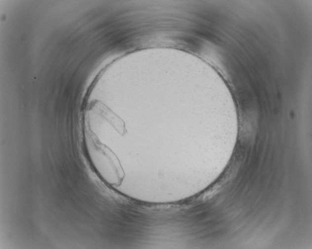 X0000068321000200605192028