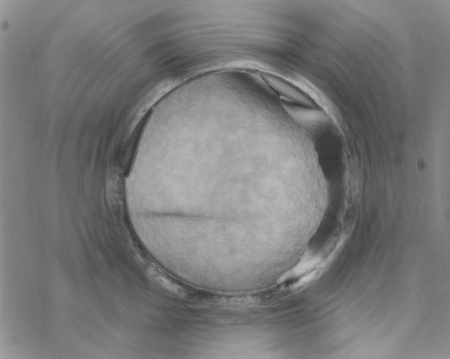 X0000068321001200605192028