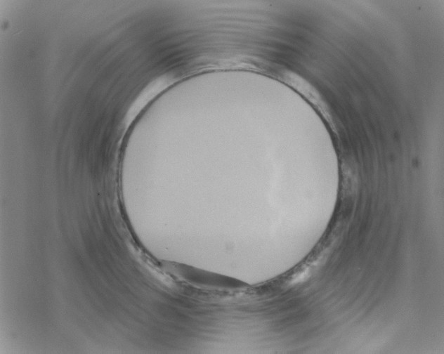 X0000068321002200605192028