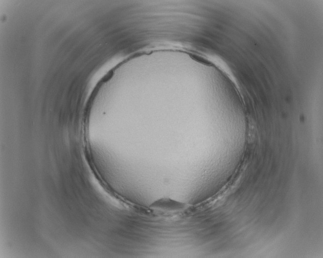 X0000068321003200605192028