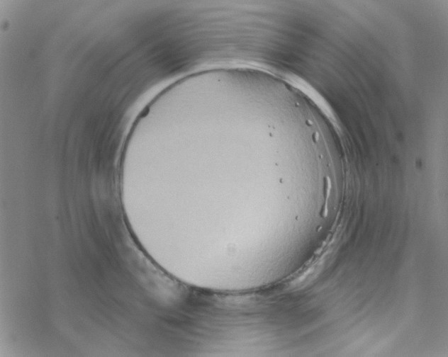 X0000068321004200605192028