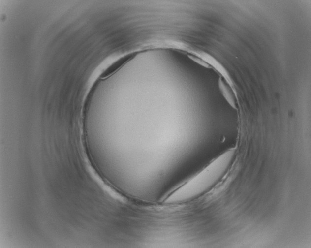 X0000068321005200605192028