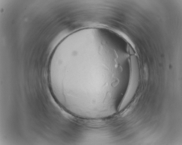 X0000068321007200605192028