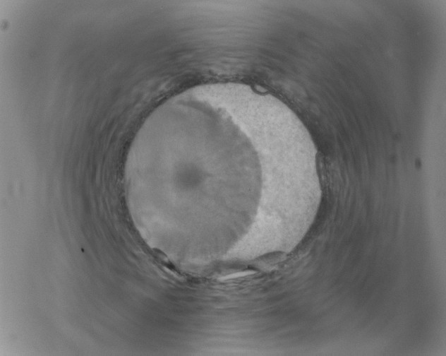 X0000068321009200605192027