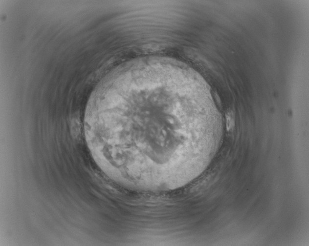 X0000068321011200605192028