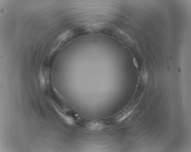 X0000068321012200605192028