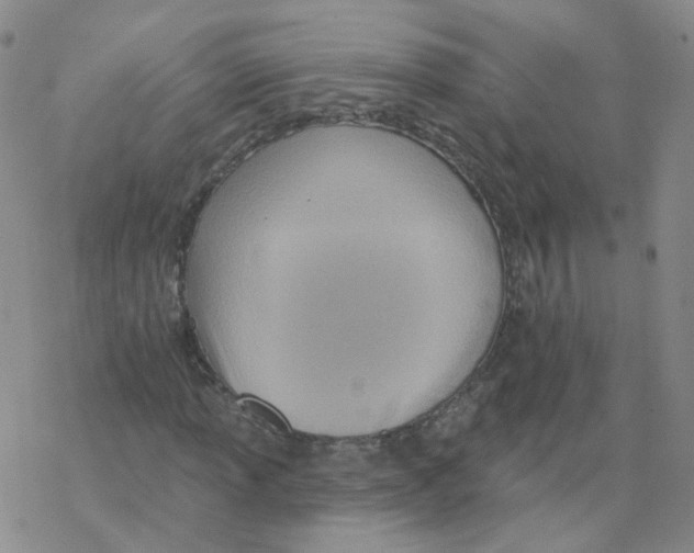 X0000068321013200605192028