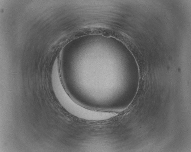 X0000068321014200605192028