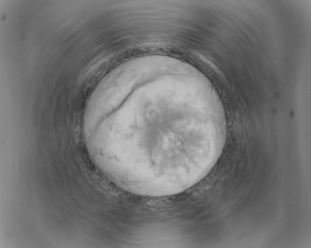 X0000068321015200605192028