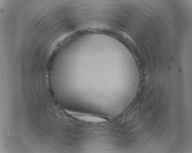 X0000068321016200605192028