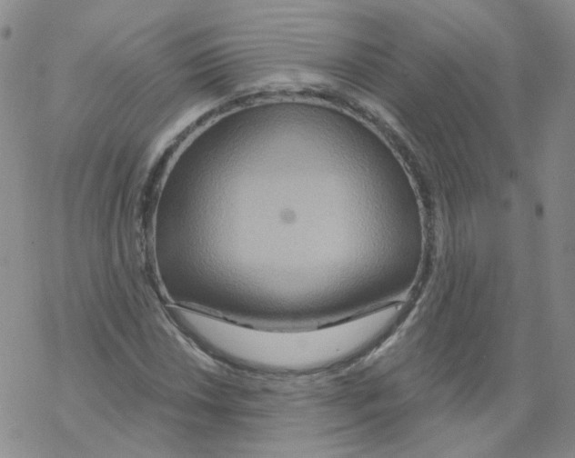 X0000068321018200605192028