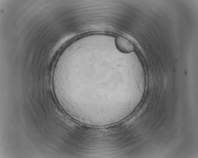 X0000068321019200605192028