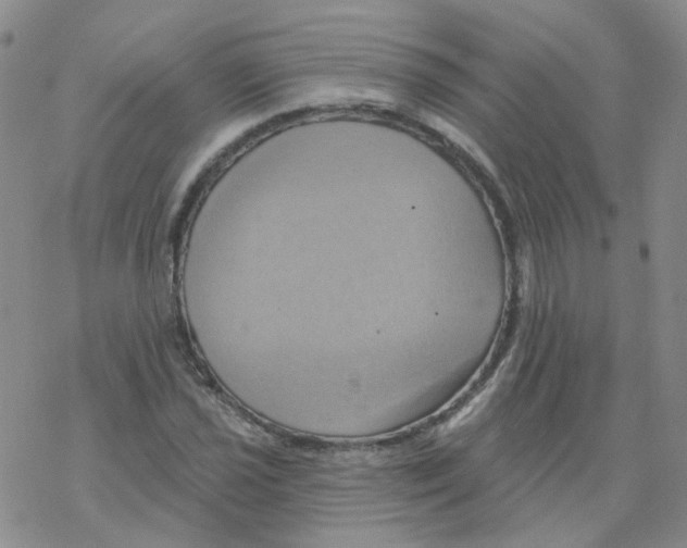 X0000068321021200605192028