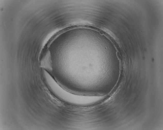 X0000068321022200605192028