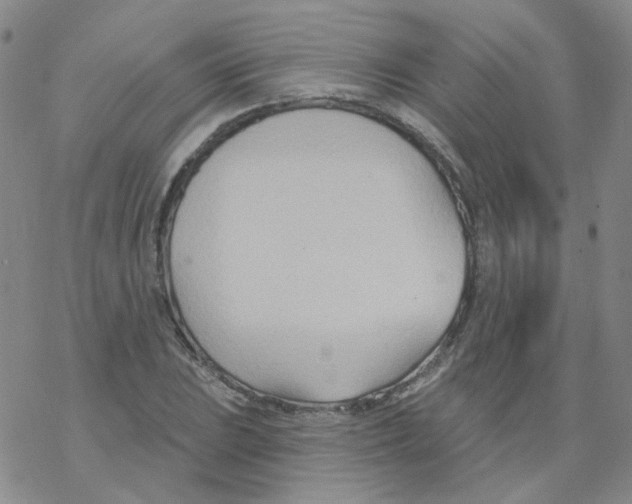 X0000068321023200605192028